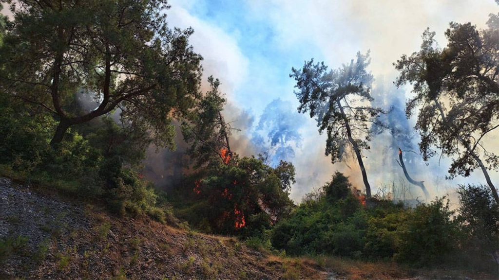 Antalya'da orman yangını kontrol altına alındı