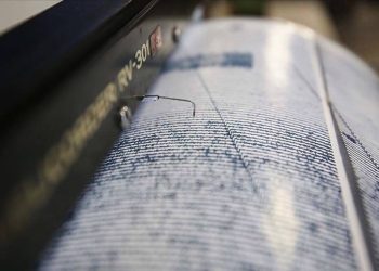 Aydın Kuşadası ve Adana'da art arda deprem
