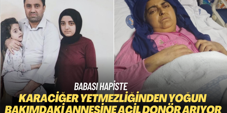 Babası hapiste, karaciğer yetmezliğinden yoğun bakımdaki annesine acil donör arıyor