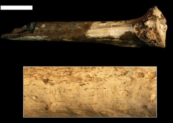 Büyük büyük insan atalarımız birbirlerini yemiş olabilir mi?