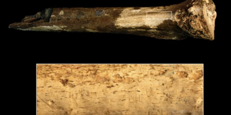 Büyük büyük insan atalarımız birbirlerini yemiş olabilir mi?