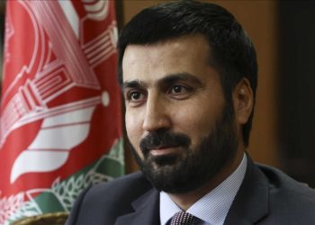 Büyükelçi Ramin: Türkiye'de üç kategoride Afgan var