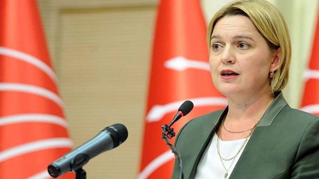 CHP'li Selin Sayek Böke'den istifa sonrası ilk açıklama