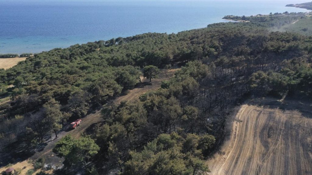 Çanakkale'de ormanlara giriş 15 Eylül'e kadar yasak