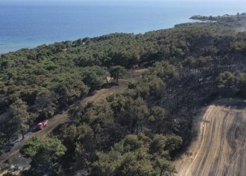 Çanakkale'de ormanlara giriş 15 Eylül'e kadar yasak