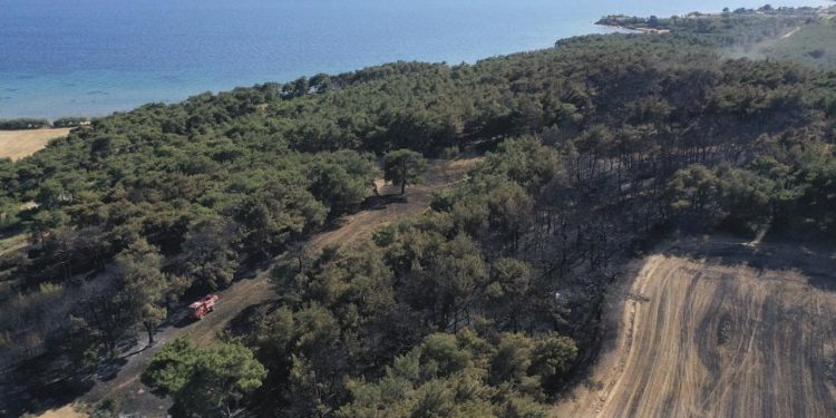 Çanakkale'de ormanlara giriş 15 Eylül'e kadar yasak