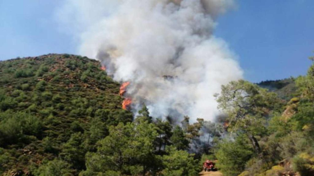 Cesedi ortadan kaldırırken ormanı yakmışlardı; Marmaris'teki cinayetin detayları ortaya çıktı