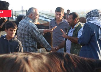 Diyarbakır’da kurbanlık pazarı durgun: Fiyat 150 bin TL’ye çıktı