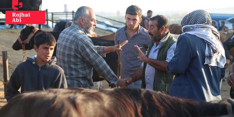 Diyarbakır’da kurbanlık pazarı durgun: Fiyat 150 bin TL’ye çıktı