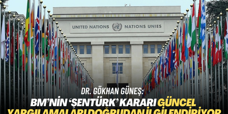 Dr. Gökhan Güneş: BM’nin ‘Şentürk’ kararı güncel yargılamaları doğrudan ilgilendiriyor