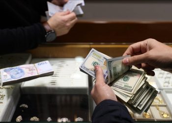Ekonomistlerden döviz kuru uyarısı: Ateşle oynamamak lazım