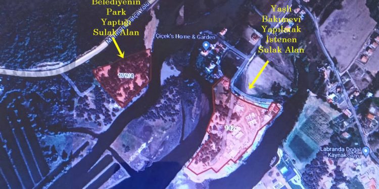 Erdoğan ailesinin dünürü için kötü haber