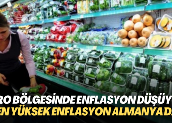 Euro bölgesinde enflasyon düşüşe geçti; En yüksek enflasyon Almanya’da
