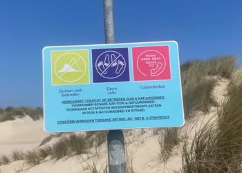 Hollanda'da çıplaklar plajında seks yasağı: Kumullar zarar görüyor