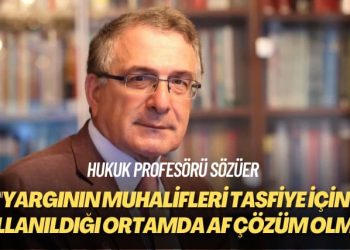 Hukuk profesörü Sözüer: Yargının muhalifleri tasfiye için kullanıldığı ortamda af çözüm olmaz