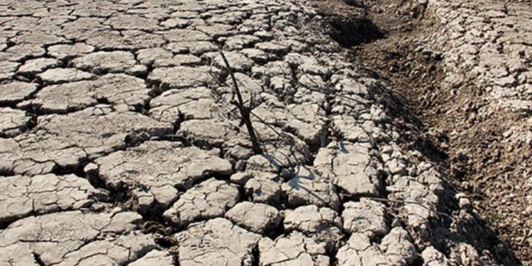 İspanya kuraklıkla karşı karşıya