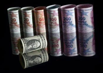 ABD merkezli haber ajansı Bloomberg’ün aktardığına göre kamu bankaları dolar kurunu dengelemek için Türk Lirası’nda ‘defansa’ geçti.