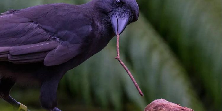 Karga akaryakıt istasyonuna atmıştı, parmakların ön otopsi raporu çıktı