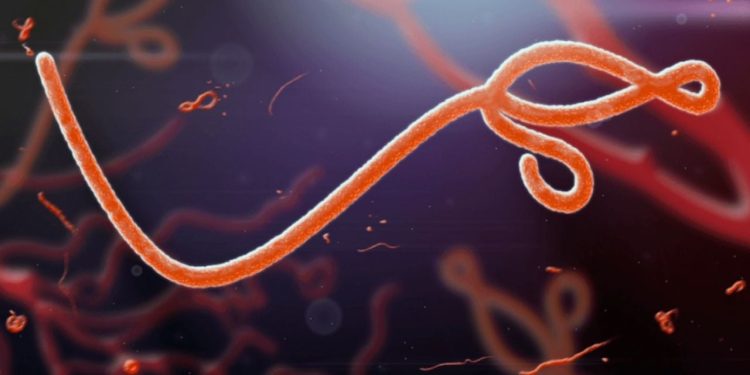 Kerkük'te Ebola virüsü salgını nedeniyle bir kişi öldü