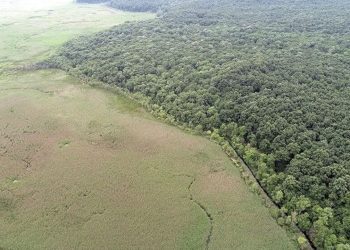 Kırklareli'nde ormanlık alanlara giriş yasaklandı