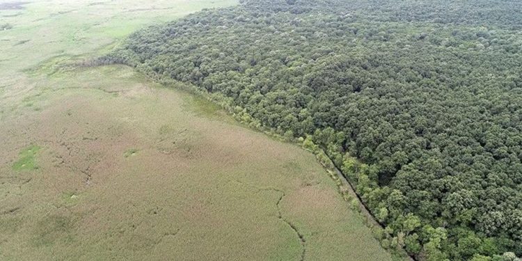 Kırklareli'nde ormanlık alanlara giriş yasaklandı