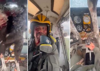 Kuş uçağın kokpit camına saplandı, pilot kanlar içinde kaldı