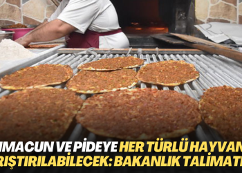 Lahmacun ve pideye her türlü hayvan eti karıştırılabilecek: Hem de bakanlık talimatıyla