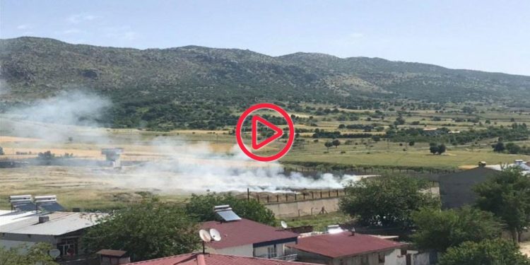 Lice'de hint kenevirleri yakıldı, ilçe duman altında kaldı