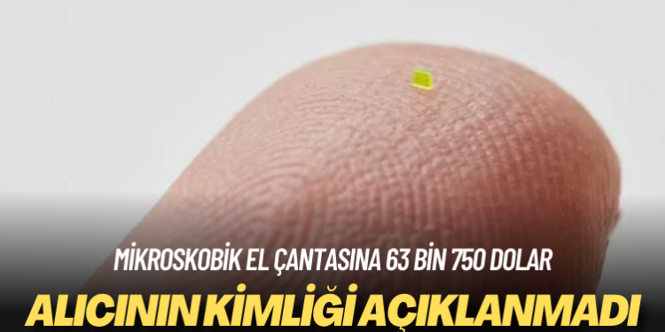 Mikroskobik el çantasına 63 bin 750 dolar: Alıcının kimliği açıklanmadı