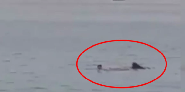Mısır'da Rus turisti öldüren köpek balığı için profesörden ürperten yorum: "İlk vakası olmayabilir"