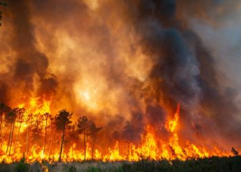 Muğla Valiliği'nden yangın uyarısı