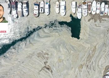 Müsilajdan geriye kalanlar: Marmara Denizi'nde oksijensiz bölgeler oluştu, balıkların boyu küçüldü