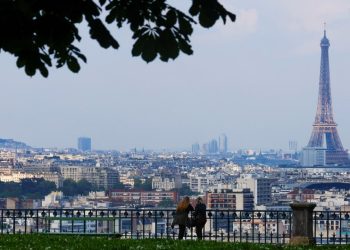 Paris belediyesi, 'farelerle birlikte yaşamı’ incelemek için komite kuracak