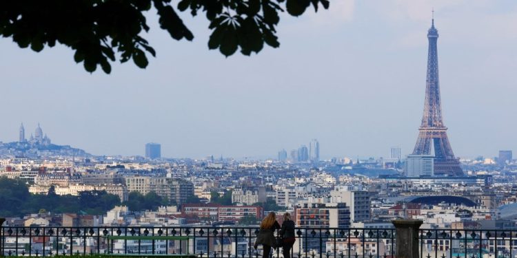 Paris belediyesi, 'farelerle birlikte yaşamı’ incelemek için komite kuracak