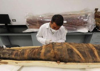 Peru'da koka yapraklarıyla sarılı 3 bin yıllık mumya bulundu