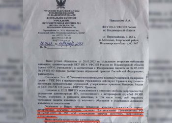 Rus muhalif Navalny'den hapishane yönetimine mektuplar: Bir kanguru alabilir miyim?