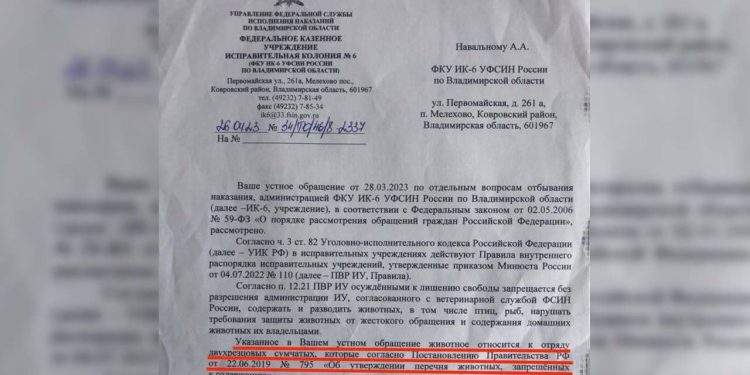 Rus muhalif Navalny'den hapishane yönetimine mektuplar: Bir kanguru alabilir miyim?