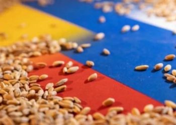 Rusya 'tahıl koridoru' için ayak sürüyor: Anlaşmanın uzatılması için olasılık görmüyoruz, temaslar devam ediyor