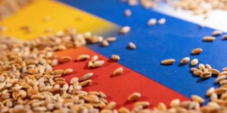 Rusya 'tahıl koridoru' için ayak sürüyor: Anlaşmanın uzatılması için olasılık görmüyoruz, temaslar devam ediyor