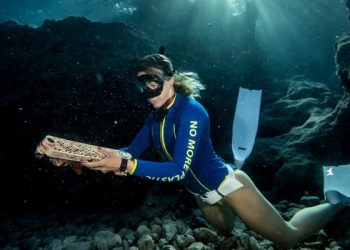 Dünya serbest dalış rekortmeni milli sporcu Şahika Ercümen, dalışlarda kullandığı kıyafetlerin gümrüğe takıldığını ve yüksek vergiler nedeniyle iade edebileceğini aktararak isyan etti.