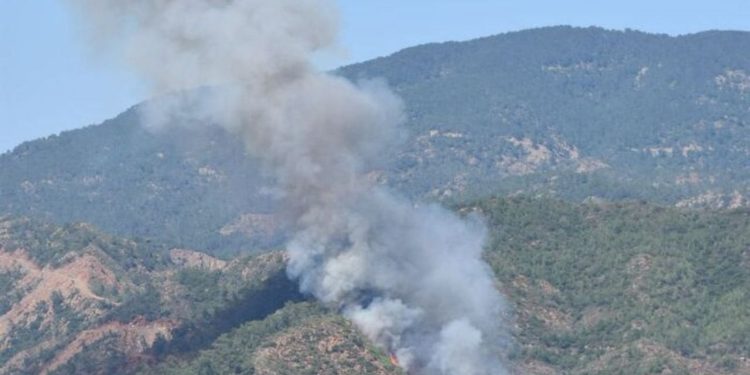 Şüpheli gözaltında: Marmaris yangınına cesedin ateşe verilmesi neden olmuştu