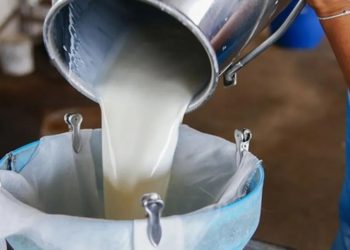 Süt Konseyi toplantısından karar çıkmadı: Üreticiler bayramdan önce fiyat açıklaması bekliyor