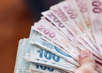 Türkiye genelinde geçen yıl hanehalklarının tüketim amaçlı harcamalarının en büyük kısmını yüzde 22,8 ile gıda ve alkolsüz içecek harcamaları oluşturdu. En düşük gelir grubu ise bütçesinin yüzde 65'inden fazlasını gıda ve alkolsüz içecekler ile konut ve kira harcamalarına ayırdı.