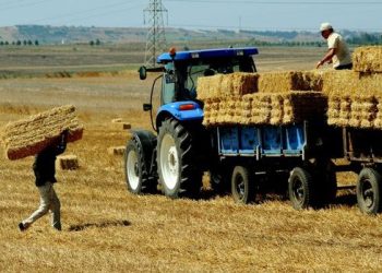Tarım ürünleri üretici fiyat endeksi (Tarım-ÜFE) Mayıs'ta aylık bazda yüzde 2,14 artarken, yıllık bazda yüzde 50,79 yükseldi.
