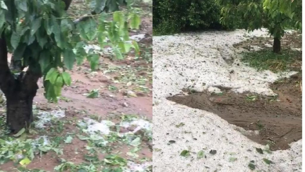 Tokat'ta sağanak yağış  ve dolu: Meyve ağaçları zarar gördü