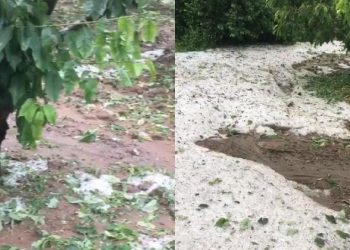 Tokat'ta sağanak yağış ve dolu: Meyve ağaçları zarar gördü