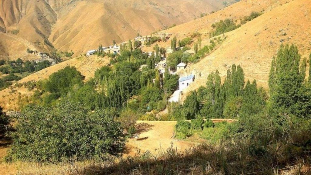 Van'da çobanların 'yayla' kavgası: En az yedi kişi yaralandı