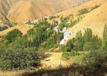 Van'da çobanların 'yayla' kavgası: En az yedi kişi yaralandı