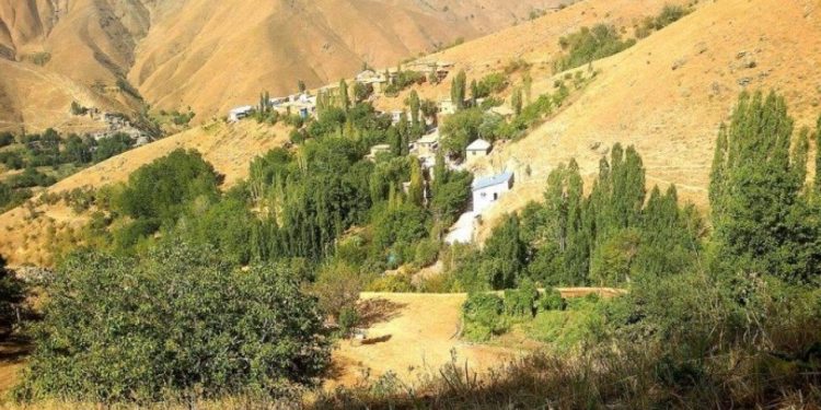 Van'da çobanların 'yayla' kavgası: En az yedi kişi yaralandı