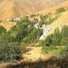 Van'da çobanların 'yayla' kavgası: En az yedi kişi yaralandı